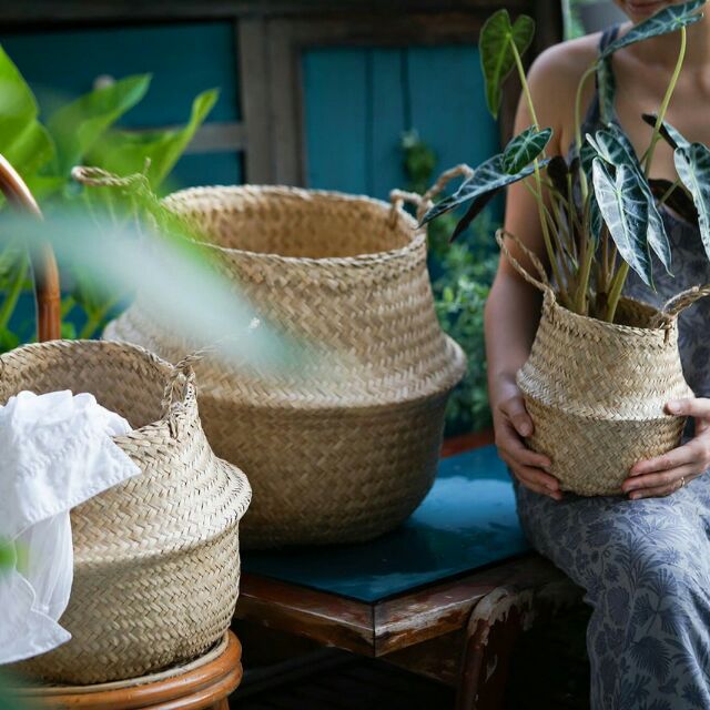 Túi bụng cói trồng cây fi