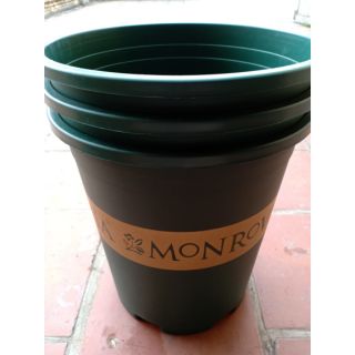 3 chậu monrovia 5gl màu xanh