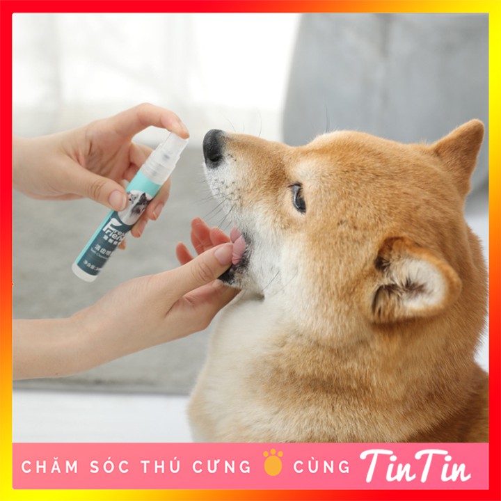 Xịt Thơm Miệng Vệ Sinh Răng Miệng Chó Mèo FRESH FRIEND 14 ml #Tintin Pet Store