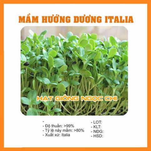 Hạt Giống Rau Mầm Hướng Dương - 50Gr