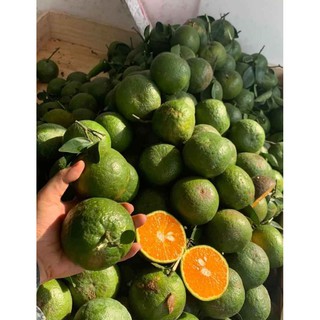 [Mã SKAMA8 giảm 8% đơn 300K] Cam sành vắt nước - Chuẩn giống miền Tây - GÓI 1 Kg