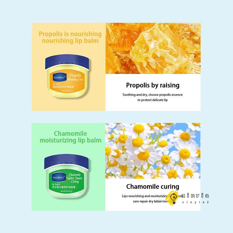 Dưỡng môi VASELINE 7g dạng hũ LOẠI RẺ cho KHÁCH SỈ đủ vị