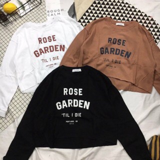 Áo Thun Croptop Tay Dài Thu Đông WA 18