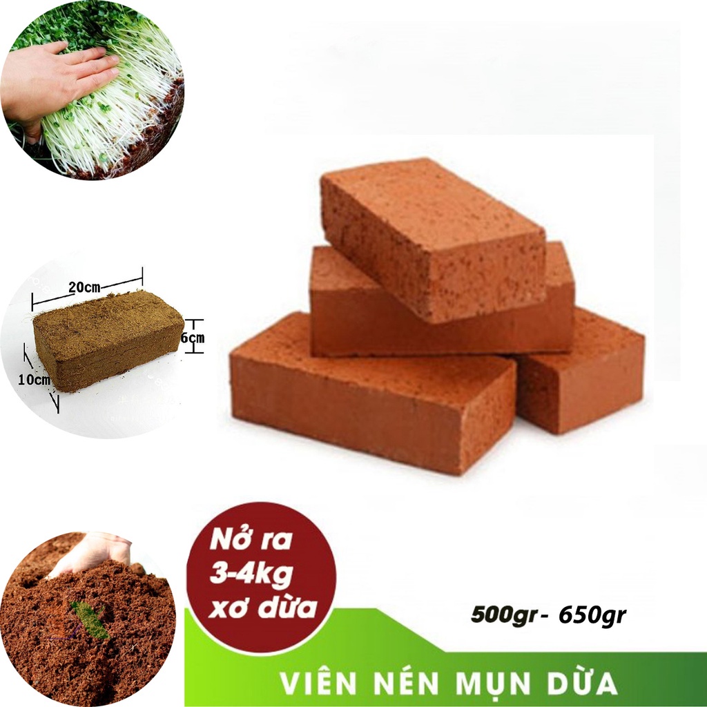 Đất nén sơ dừa hữu cơ dạng viên