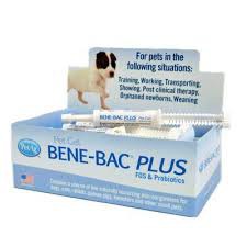 BENE-BAC-PLUS Men vi sinh - Hỗ trợ tiêu hóa chó mèo thú cưng tuýp 15g