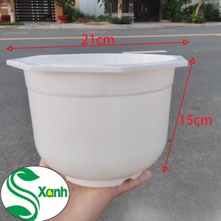 Chậu treo nhựa trồng hoa 21x15cm