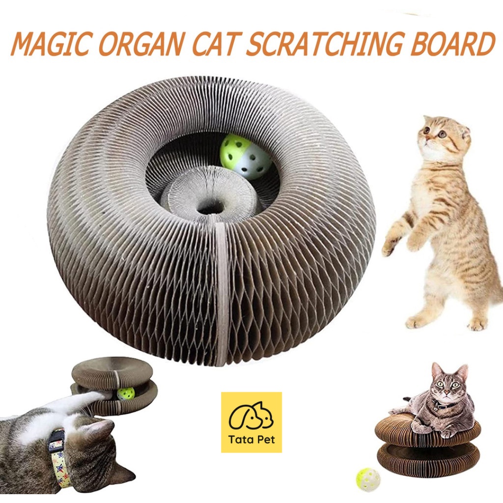 Đồ chơi bàn cào cào móng ma thuật xoay tròn cho mèo, Tặng kèm bóng