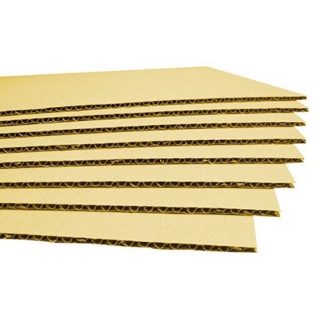 Bìa carton nguyên tấm