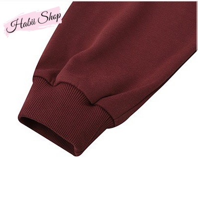 Áo hoodie unisex - Áo nỉ hoodie nữ có mũ HABII AH01 | BigBuy360 - bigbuy360.vn