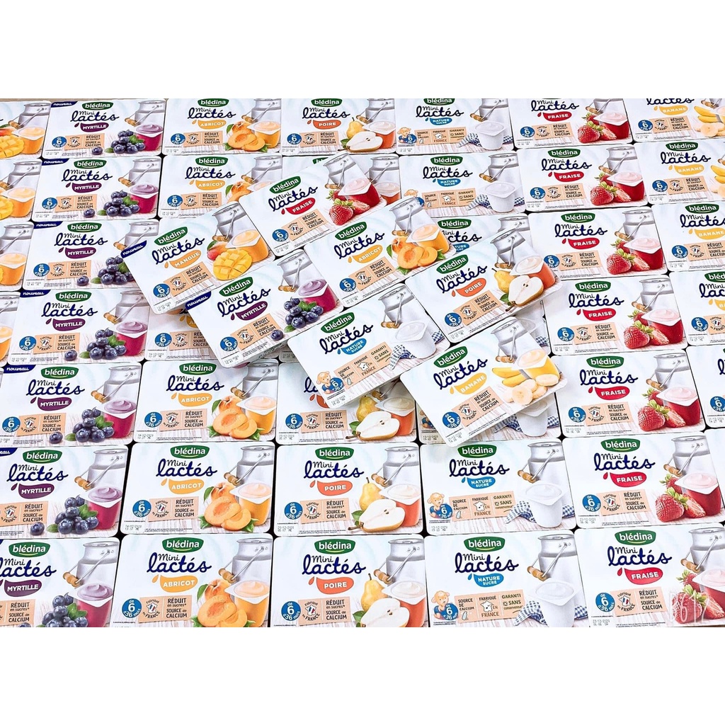 Sữa chua nguội bledina của pháp nhiều vị