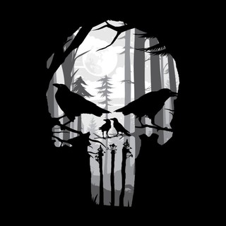 Áo thun Marvel Punisher Skull Art