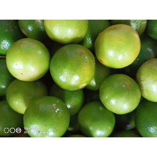 100g chanh thái lát sấy khô.