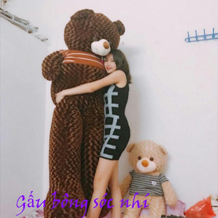 [SIÊU SALE] Gấu bông Teddy siêu to khổng lồ 2m