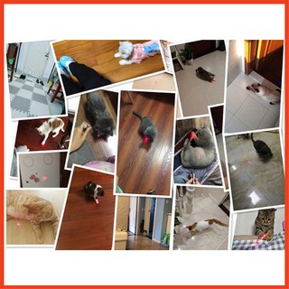 [GIÁ SỈ] Đèn laze mini trêu mèo