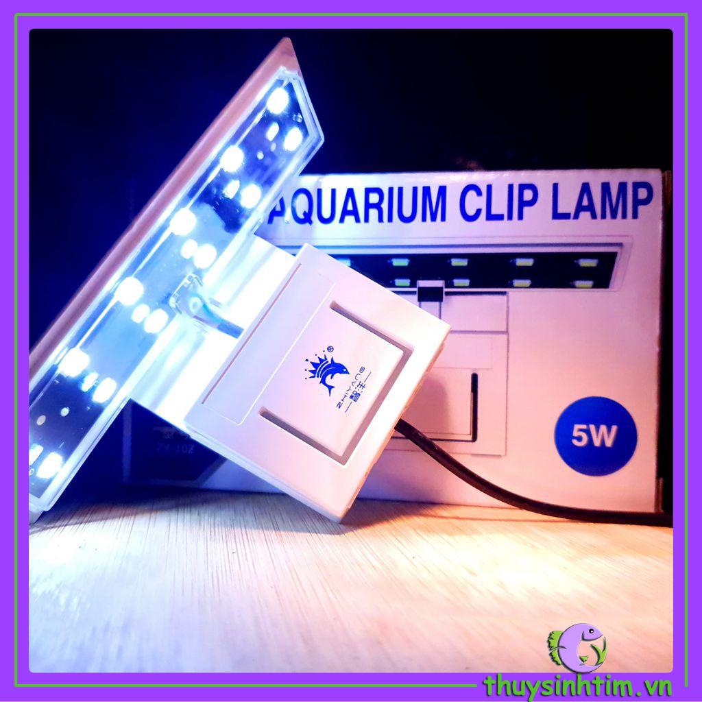 Đèn LED Kẹp ZY-10 Cho Bể Cá Mini