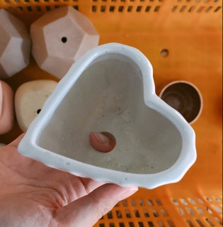 Chậu sứ hình tim (trồng cây cảnh, sen đá)