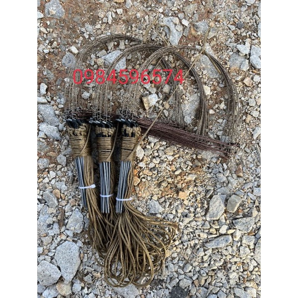 Giò gà chân thép