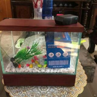 Bể cá mini nắp đèn led