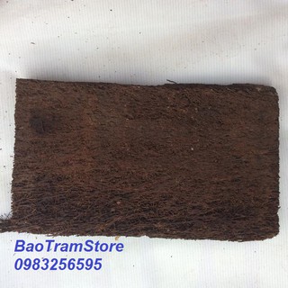 Combo 11 bảng dớn trồng lan kích cỡ 30x20x2 cm