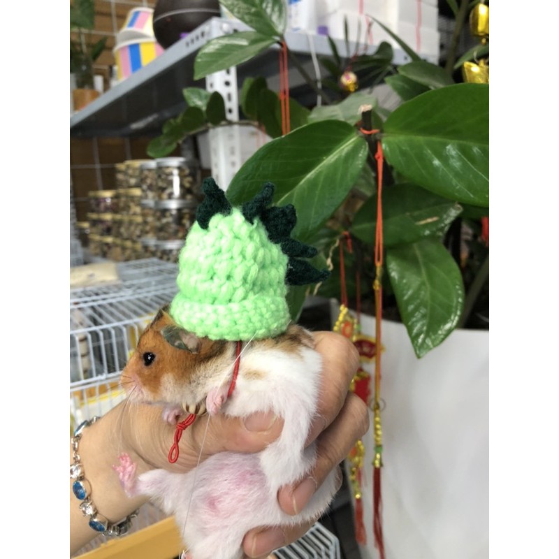 Nón Len Cho Thú Nhỏ Hamster, Sóc, Bọ - Mẫu Sừng Khủng Long