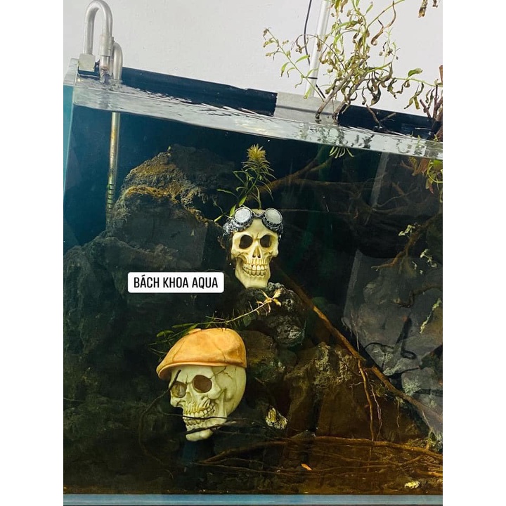 Đầu lâu đội mũ - đeo kính trang trí bể cá thủy sinh