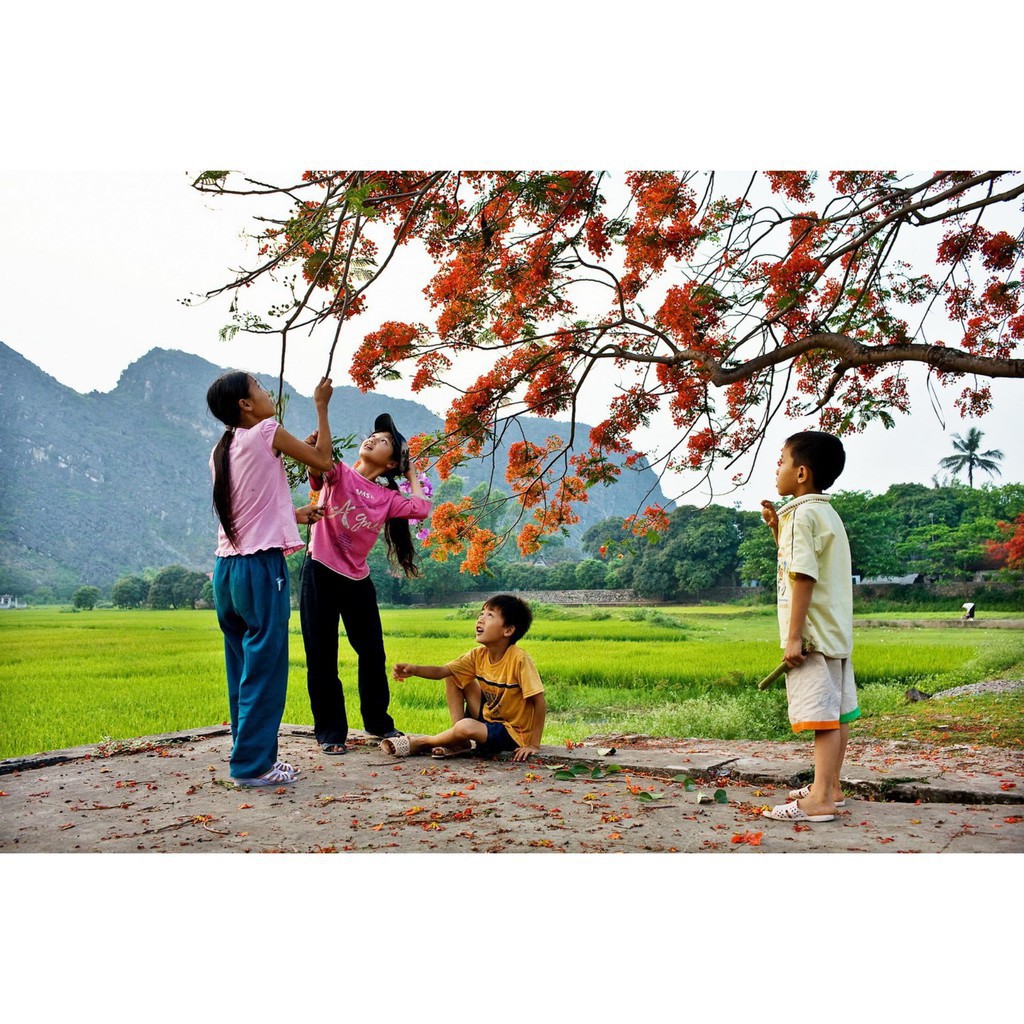 Anten H5 - Chuyên Cho ĐầU KTS | BigBuy360 - bigbuy360.vn