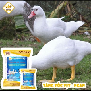 Siêu Tăng Tốc Vịt, Ngan (hàng chuẩn)