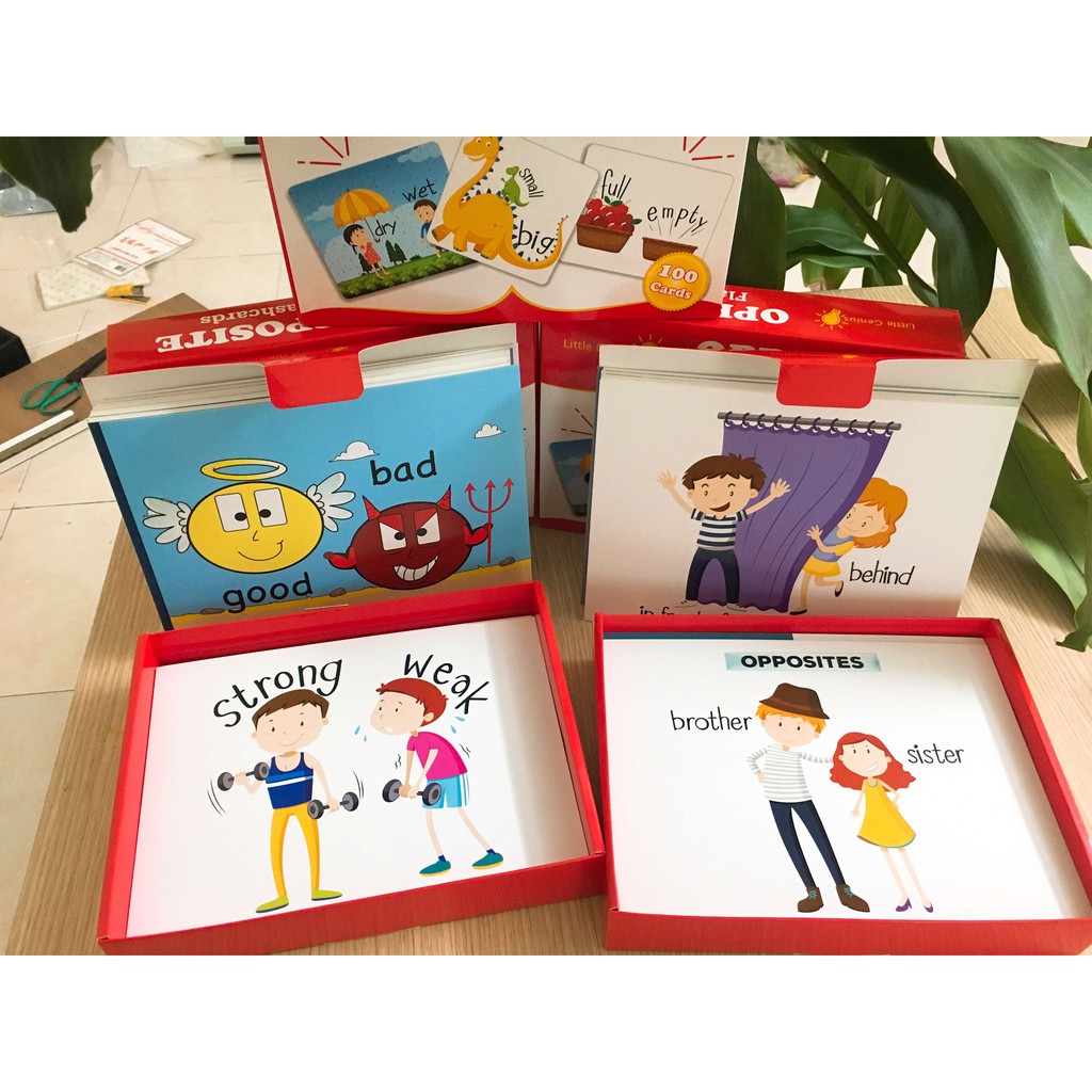 Flashcard - Bộ 100 thẻ từ vựng trái nghĩap