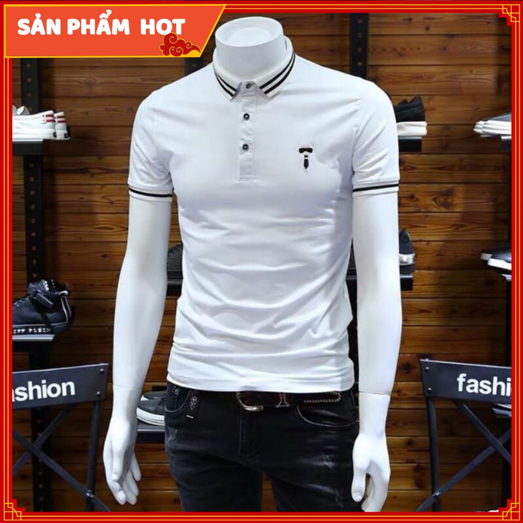 Áo Thun Nam Có Cổ Chất Đẹp Logo Nhỏ