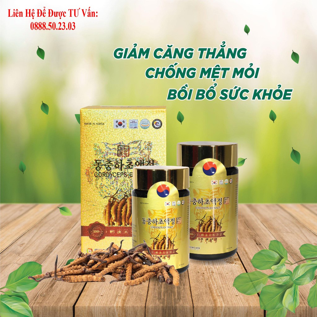 Cao Hồng Sâm Đông Trùng Hạ Thảo HÀN QUỐC