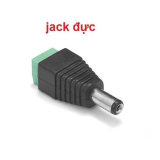 CB- Jack đực cái 5.5