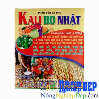 Kali Bo Nhật – Phân Bón Lá NPK