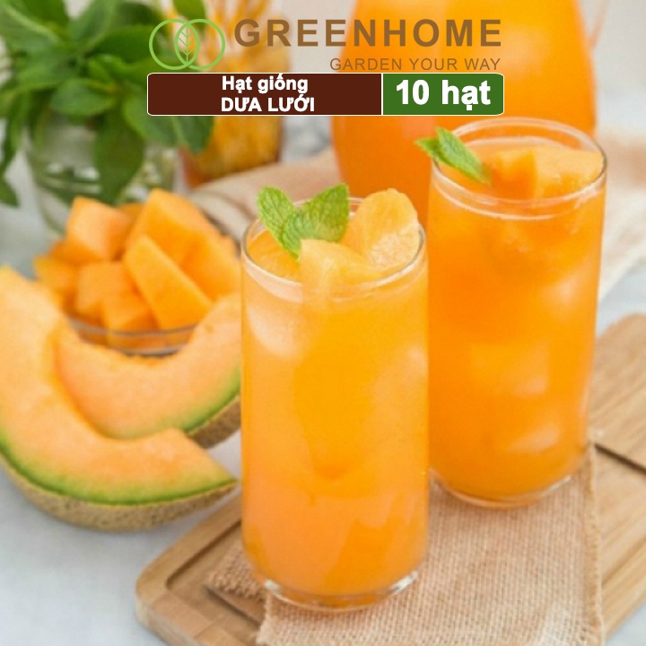 Hạt giống Dưa lưới ruột vàng f1 Greenhome, gói 10 hạt, sinh trưởng mạnh, năng suất cao T14