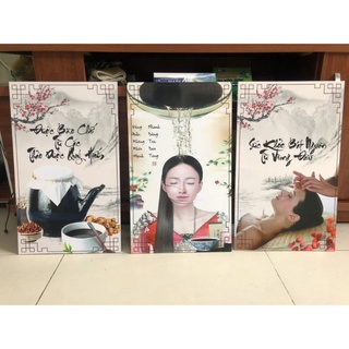 BỘ 3 TRANH DƯỠNG SINH ĐÔNG Y