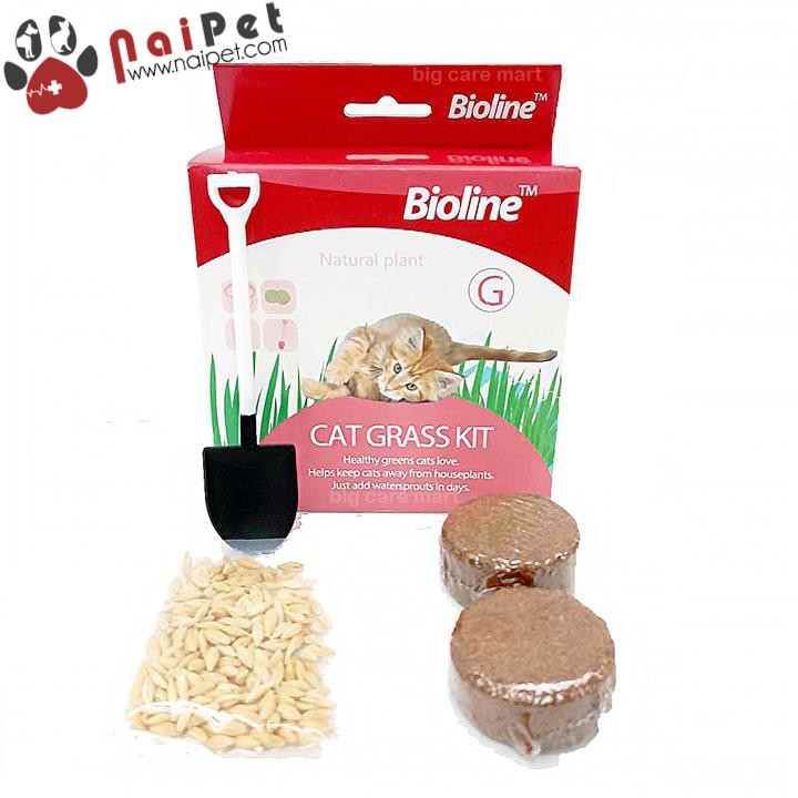 Bộ Trồng Cỏ Tươi Hạt Giống Cỏ Tươi Cho Mèo Cat Grass Kit Bioline 12g