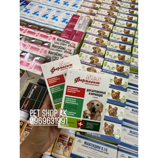 Vitamin dưỡng bầu dành cho chó đang mang thai và cho con bú
