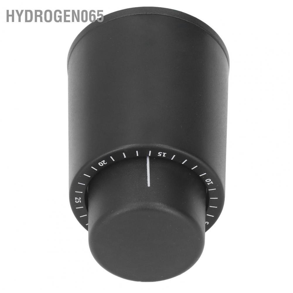 Hydrogen065 2Pcs Wine Bottle Stopper Vacuum Pressing Type Keep Freshness Durable Reusable Leakproof Safe Date Recording Cork