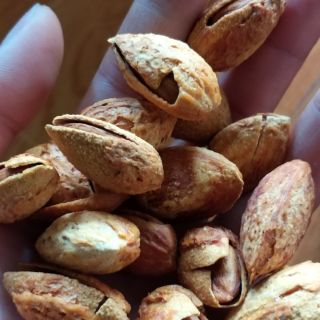 Combo c hạnh
