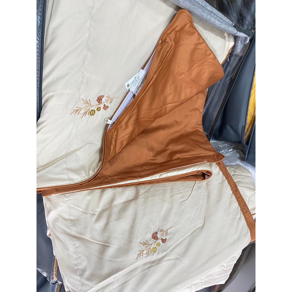 Bộ Drap chun chần EVERON MDSC081