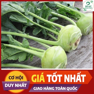 ☘hạt giống su hào xanh_0.5gr~ 100 hạt☘