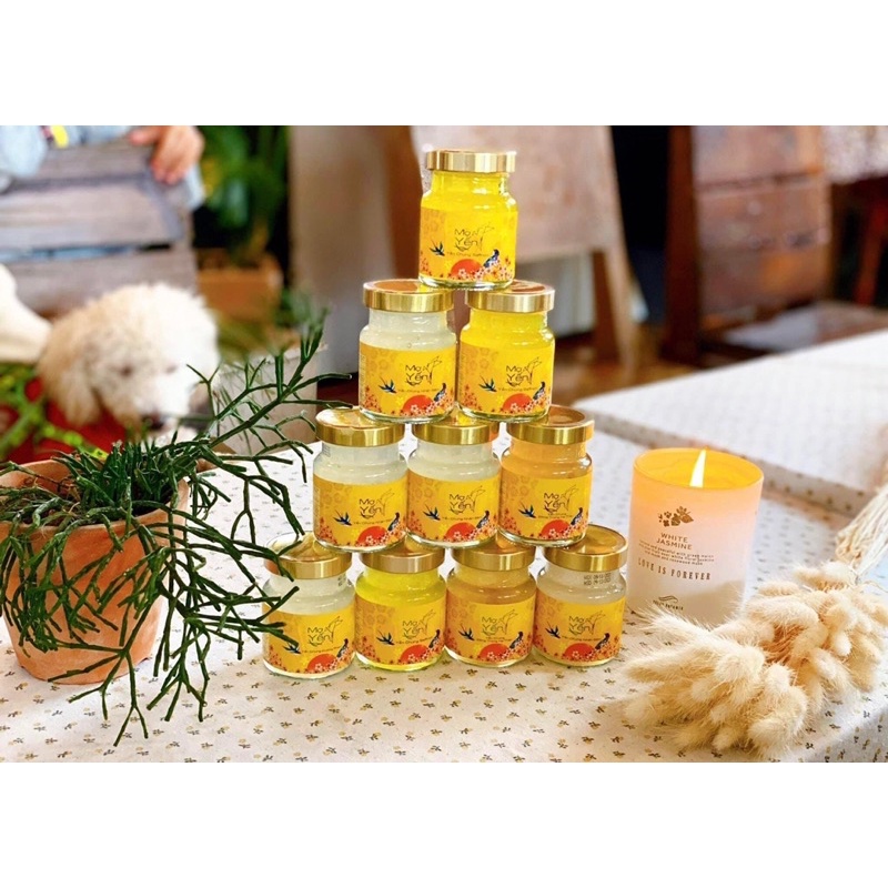 Yến Sào- Mợ Yến - Chưng đường phèn Combo 10 hũ