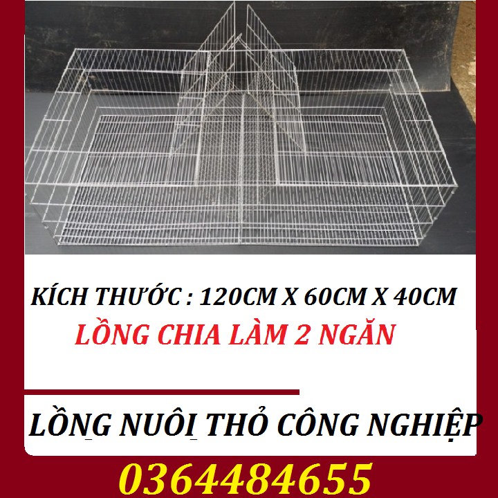COMBO 10 LỒNG NUÔI THỎ CÔNG NGHIỆP-CHUỒNG THỎ CÔNG NGHIỆP-CHUỒNG NUÔI THỎ
