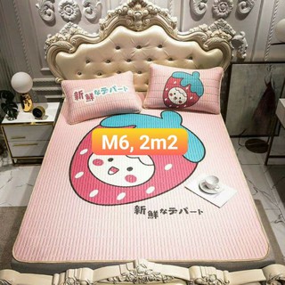 Chiếu Điều Hòa 4 mùa