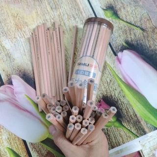 BÚT CHÌ GỖ 2B, 50 CÁI /1 LỌ