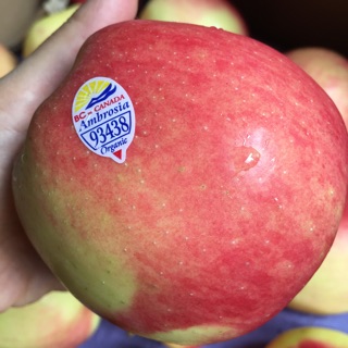 Táo Ambrosia Organic Canada 