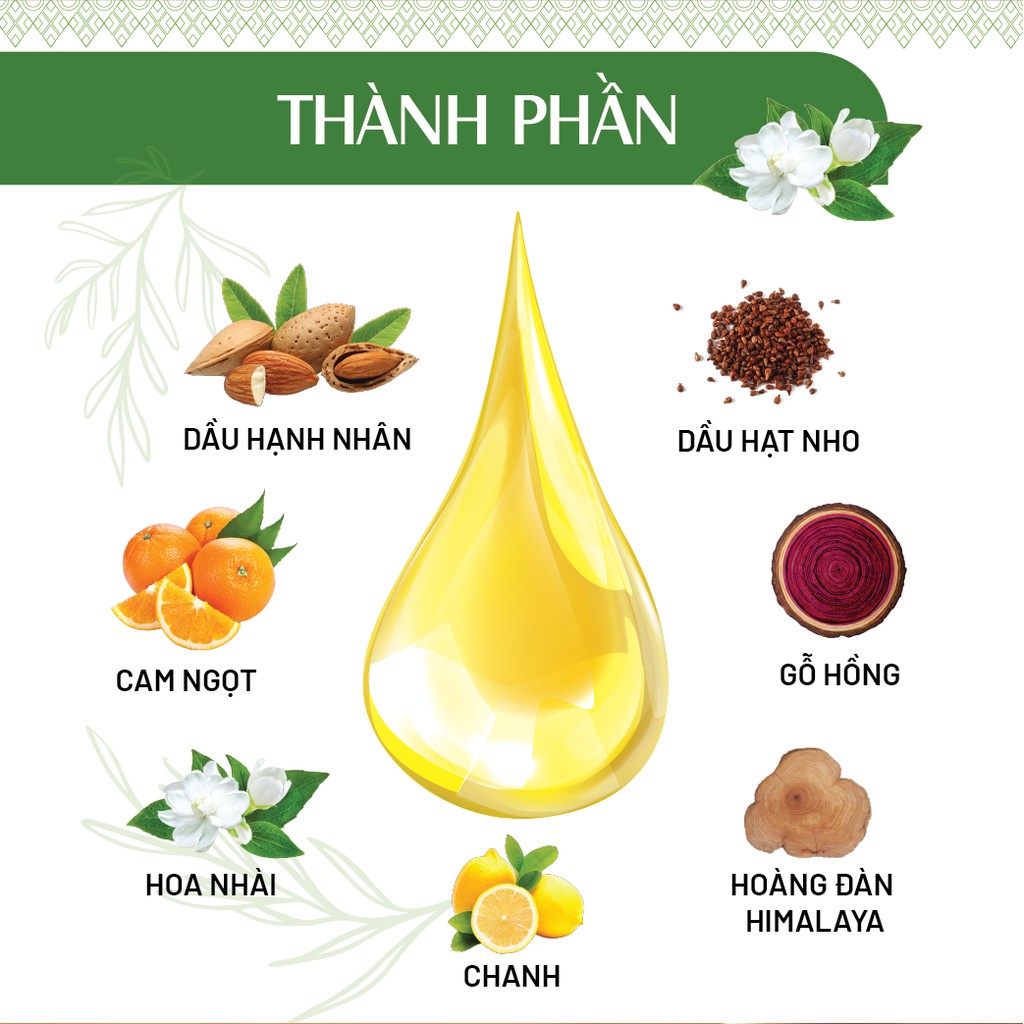 Combo 2 chai tinh dầu massage cơ thể, tuần hoàn máu, hương thơm quyến rũ 24Care cho Nam + Nữ (30ml/1chai)