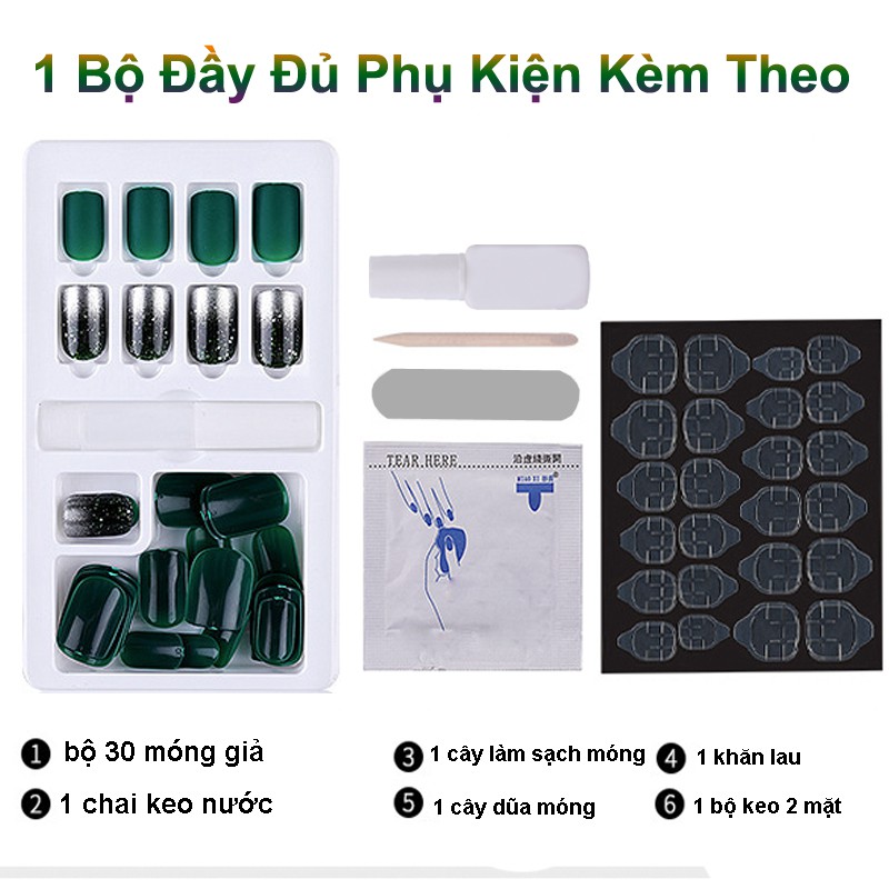 Hộp 30 Móng giả, nail giả, Kèm keo khô và keo nước, Cây dũa (30-06)