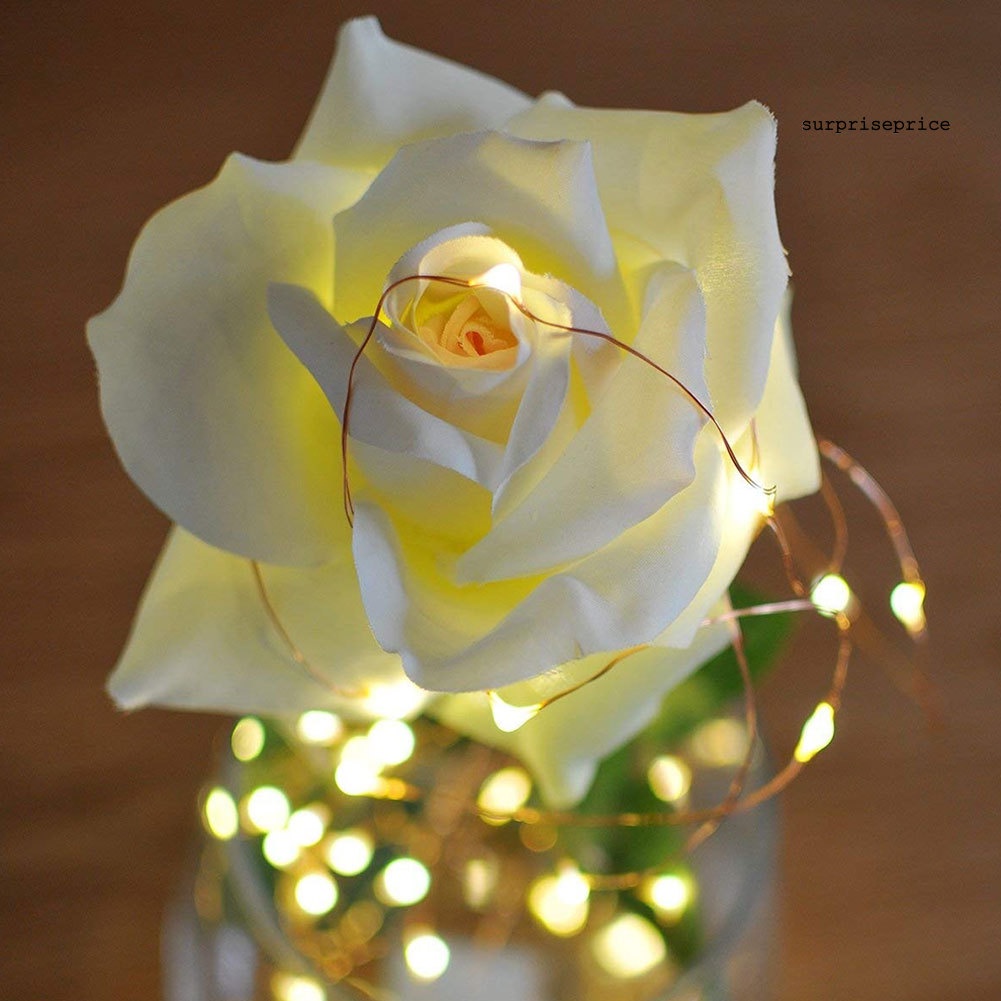 Dây Đèn Led Trang Trí Tiệc 2 / 5 / 10m