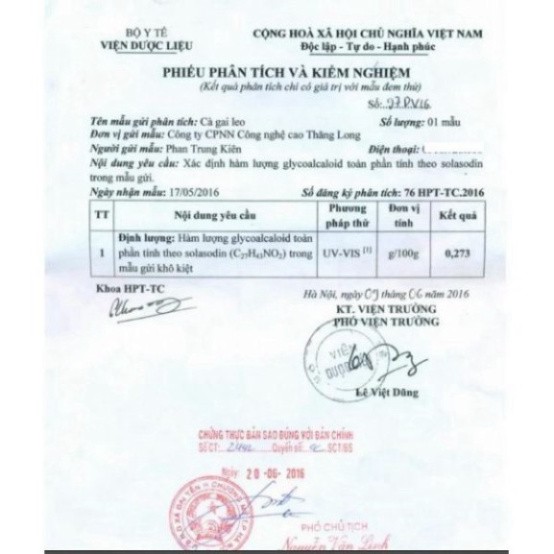 trà cà gai leo , thải độc gan phòng xơ gan , viêm gan , giải rượu bia - trà túi lọc Litic 150g , 250g | BigBuy360 - bigbuy360.vn