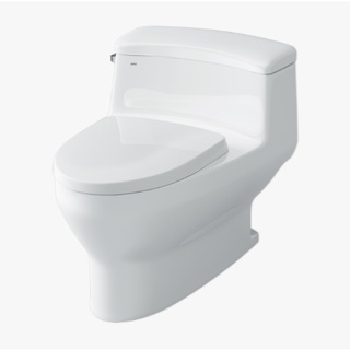 Bồn cầu Inax AC-4005VN